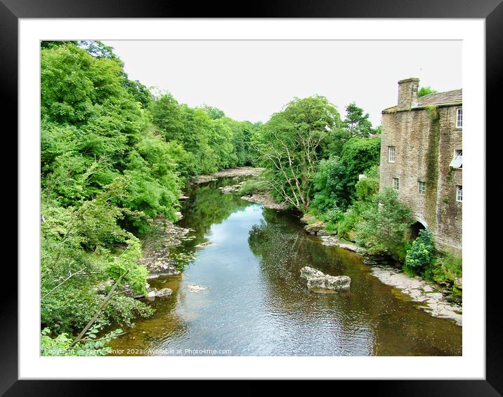 Aysgarth Bridge over the River Ure at Aysgarth Fal Framed Mounted Print by Terry Senior