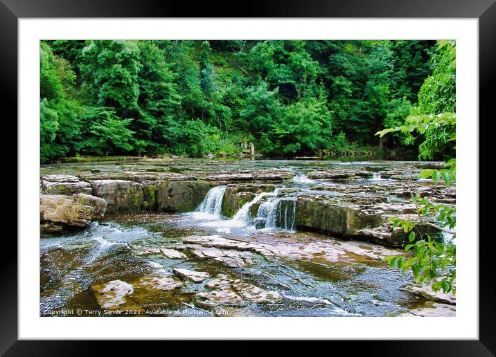 Aysgarth Falls top flight of the waterfalls Framed Mounted Print by Terry Senior