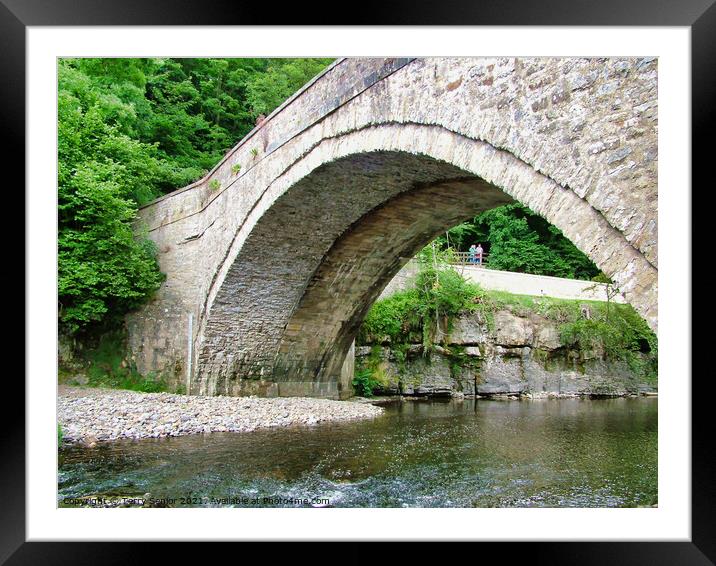 Bridge over the River Ure at Aysgarth Falls in the Framed Mounted Print by Terry Senior