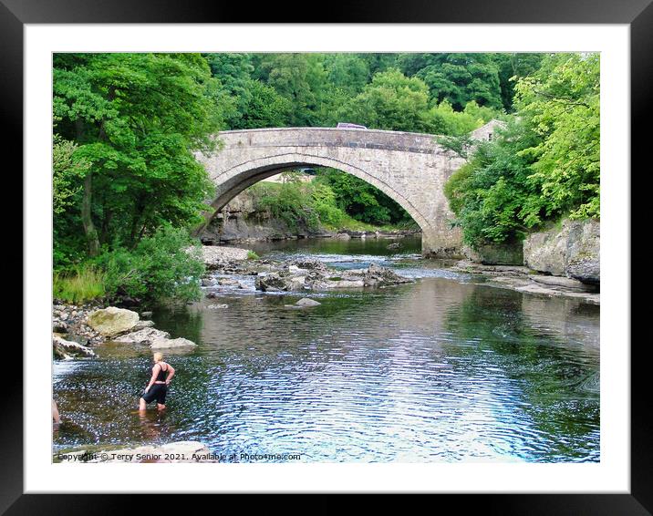 Bathing in the River Ure at Aysgarth Falls in the  Framed Mounted Print by Terry Senior