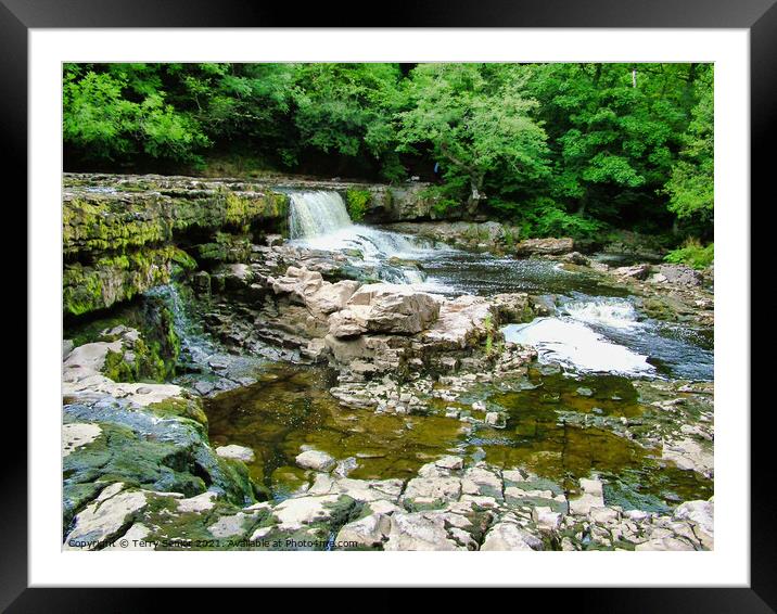 The start of Aysgarth Falls in the Yorkshire Dales Framed Mounted Print by Terry Senior