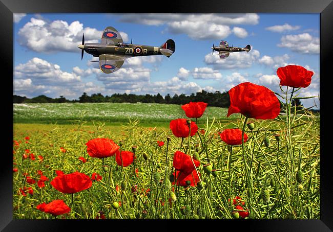 Spitfires and Poppy field Framed Print by Oxon Images