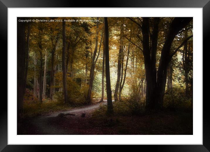 Path To Sunlight Framed Mounted Print by Christine Lake