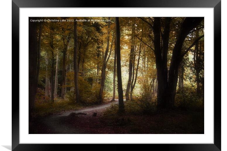Buy Framed Mounted Prints of Path To Sunlight by Christine Lake