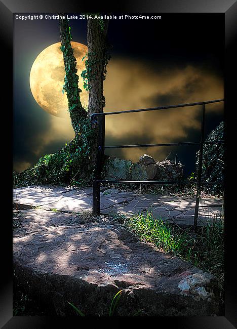  Walking in Moonlight Framed Print by Christine Lake