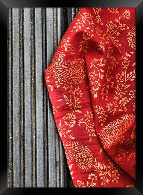red sari Framed Print by Heather Newton