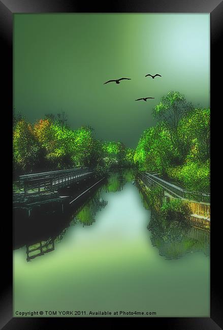 THE OLD CANAL Framed Print by Tom York