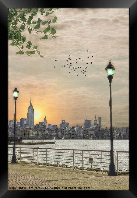 GOOD MORNING NEW YORK Framed Print by Tom York