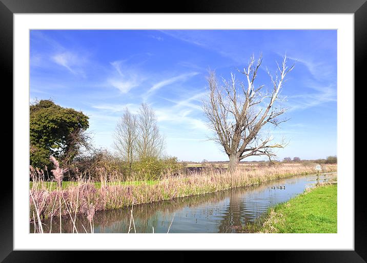 Fenland Scene - A view of a fen lode Framed Mounted Print by Terry Pearce
