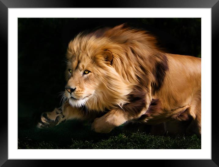 Raw Lion Power Framed Mounted Print by Julie Hoddinott