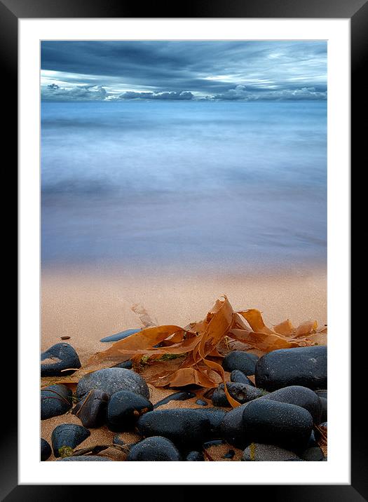 Beach Seaweed Framed Mounted Print by Keith Thorburn EFIAP/b