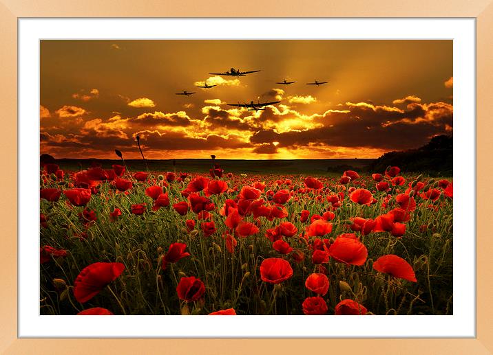 Sunset Poppies The BBMF Framed Mounted Print by J Biggadike