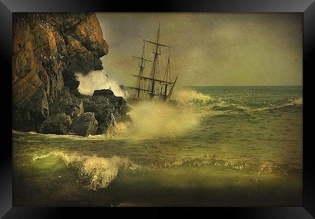 Ship Wrecked !! Framed Print by Irene Burdell