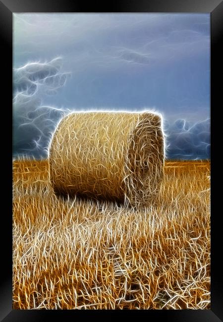 hay bale Framed Print by Northeast Images