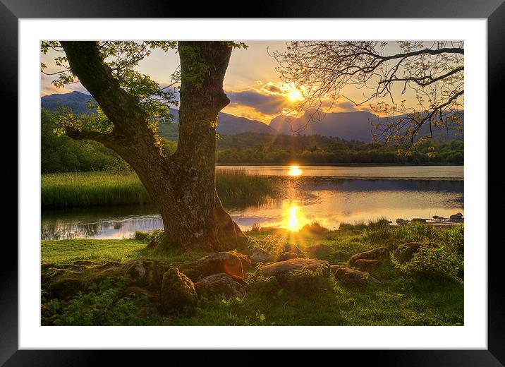 Last Light At Elterwater Framed Mounted Print by Jason Connolly