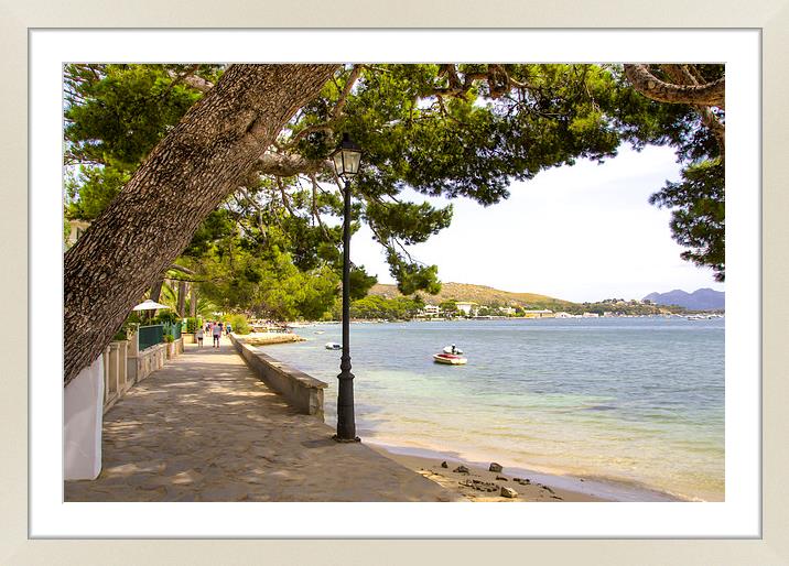 Puerto Pollensa Mallorca Pine Walk Framed Mounted Print by Gerry Greer