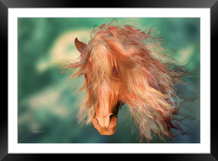  A horse called Copper Framed Mounted Print by Valerie Anne Kelly