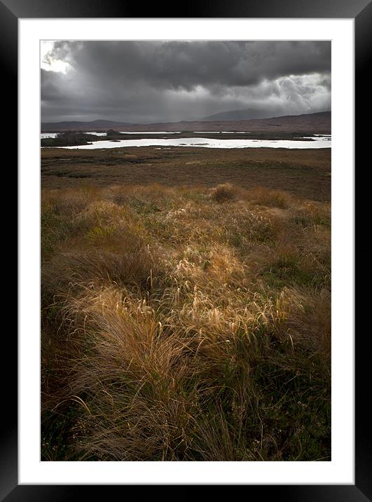 Sunlit grasses on Rannoch Moor Framed Mounted Print by Gary Eason