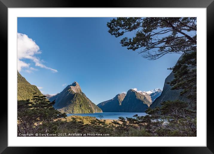 Milford Sound overlook Framed Mounted Print by Gary Eason