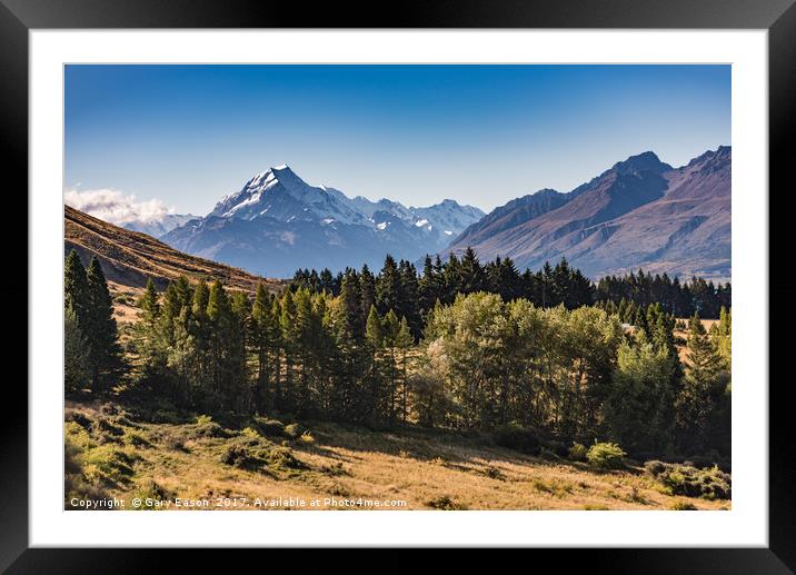 Mount Cook Aoraki view with trees Framed Mounted Print by Gary Eason