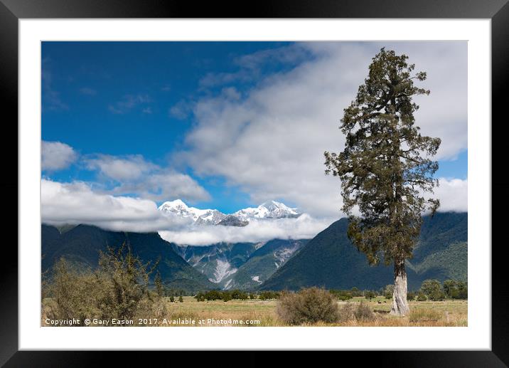 Mountains and tree, Lake Matheson Framed Mounted Print by Gary Eason