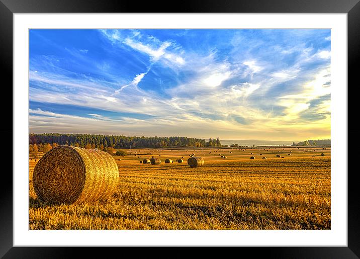 Bales of Hay at Sunset Framed Mounted Print by Derek Beattie