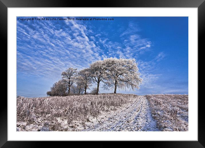 Trees in the snow Polarised Framed Mounted Print by John Farnan