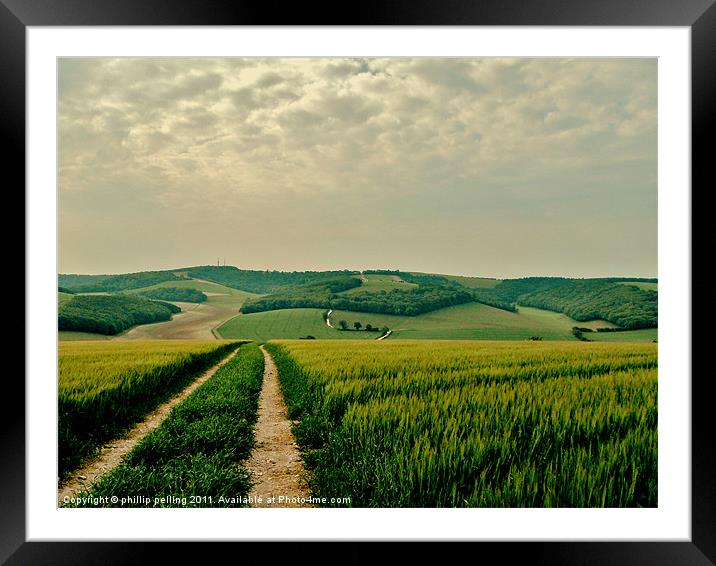 South Downs Way West Sussex Framed Mounted Print by camera man