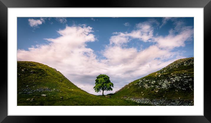 Sycamore Gap Framed Mounted Print by Philip Male