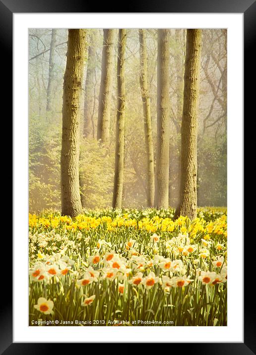 A Spring Day Framed Mounted Print by Jasna Buncic