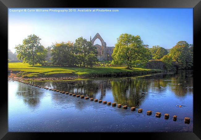   Bolton Abbey 3 Framed Print by Colin Williams Photography
