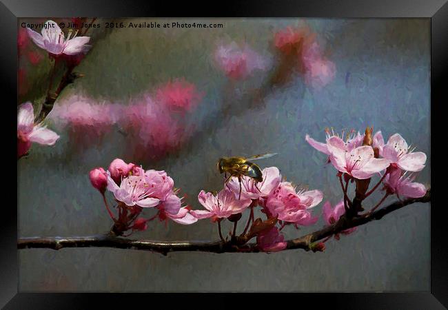 Artistic springtime Framed Print by Jim Jones