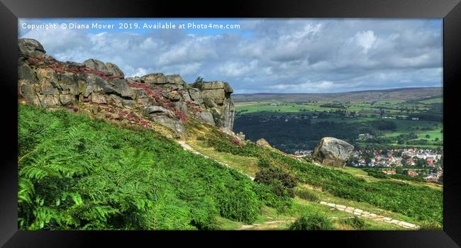 The Cow and Calf Ilkley Moor Framed Print by Diana Mower