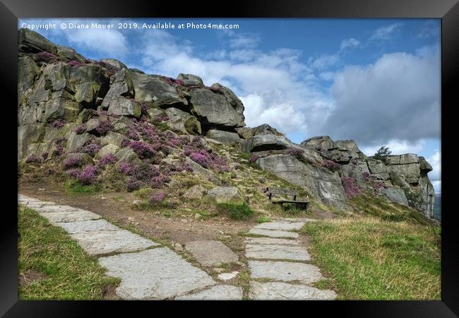 The Cow and Calf Seat Ilkley Moor Framed Print by Diana Mower