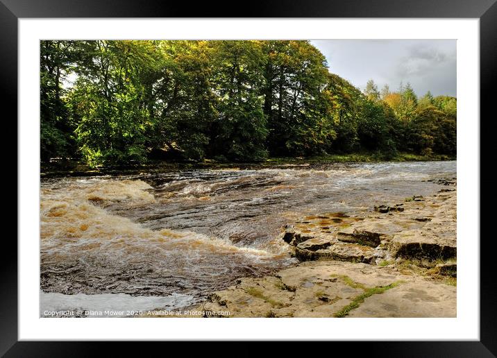 Aysgarth Lower Falls Wensleydale Framed Mounted Print by Diana Mower