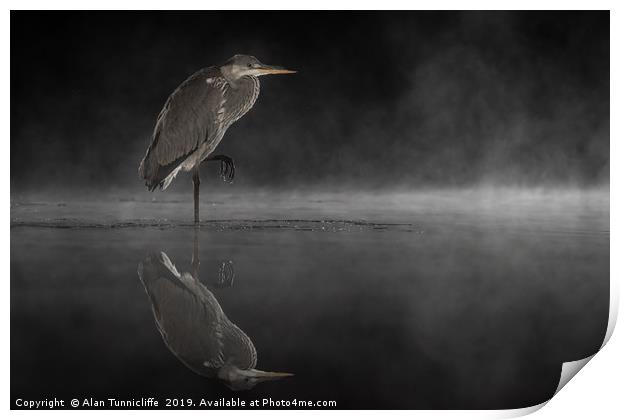 In the still of the night Print by Alan Tunnicliffe