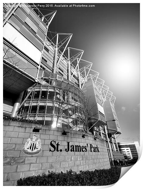 St. James' Park Print by Alexander Perry