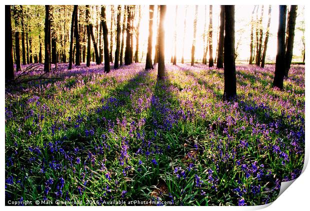 Shadowy Bluebell Woods Print by Mark Greenwood