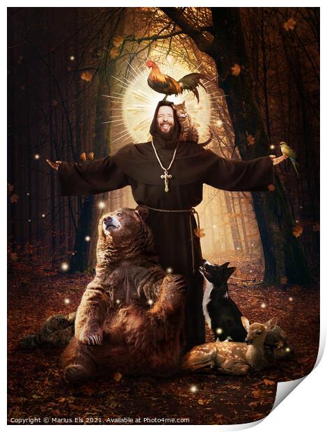 St. Francis Of Assisi, Patron Saint Of Animals Fine Art Pictures in Colour  by Marius Els ID #1017694