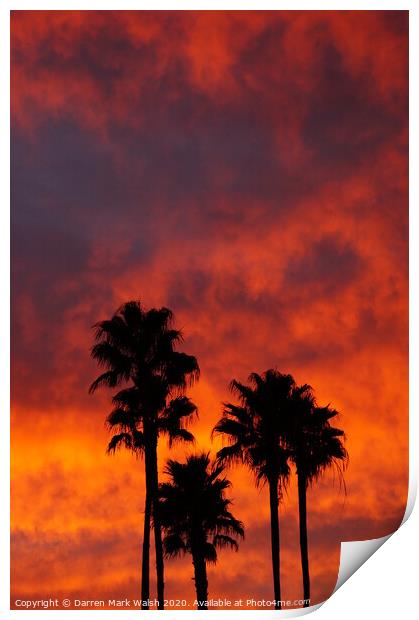 Palm Tree Sunset Print by Darren Mark Walsh