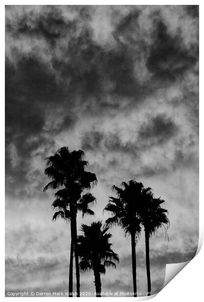 Palm Tree Silhouette Print by Darren Mark Walsh