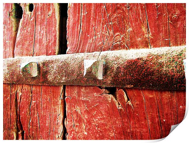STEEL BOLT OVER RED WOOD  Print by NILADRI DAS