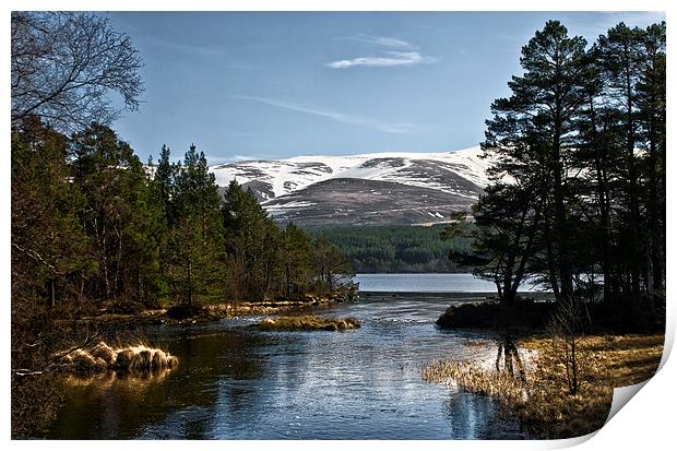 Cairngorm and Loch Morlich Print by Jacqi Elmslie