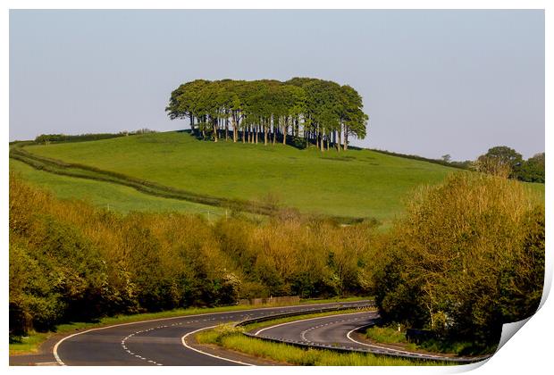Nearly Home Trees Coming Home Trees A30 Print by Oxon Images