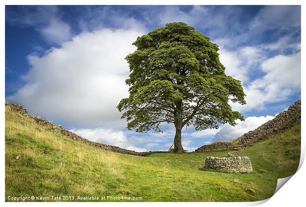 Sycamore Gap (the 
