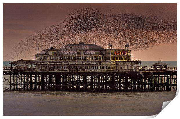 West Pier Starlings, Brighton Print by Ashley Chaplin